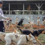 Sejumlah Publik Figur Ajukan Penjadwalan Ulang dalam Kasus Hukum Hanania